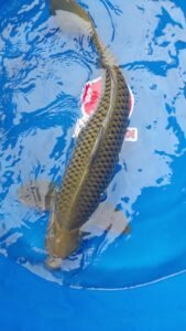 WhatsApp Image 2022-12-30 at 10.34.22