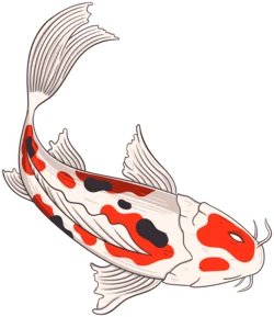 Ikan koi animasi