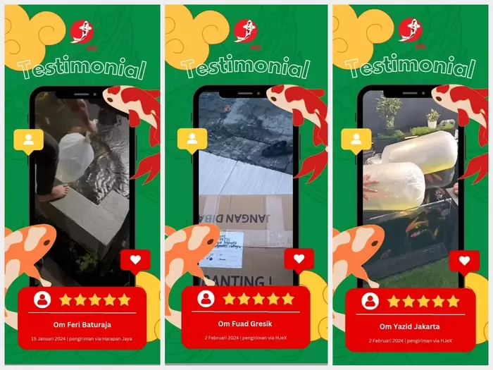 Pengiriman Agro Koi 501