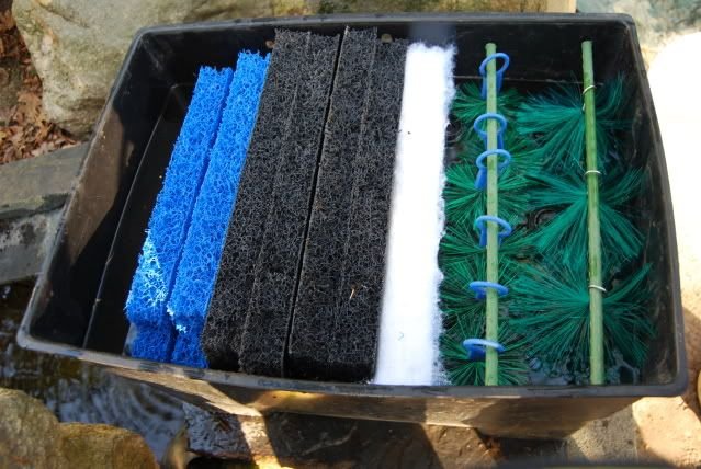 Agar Air Kolam Koi Jernih