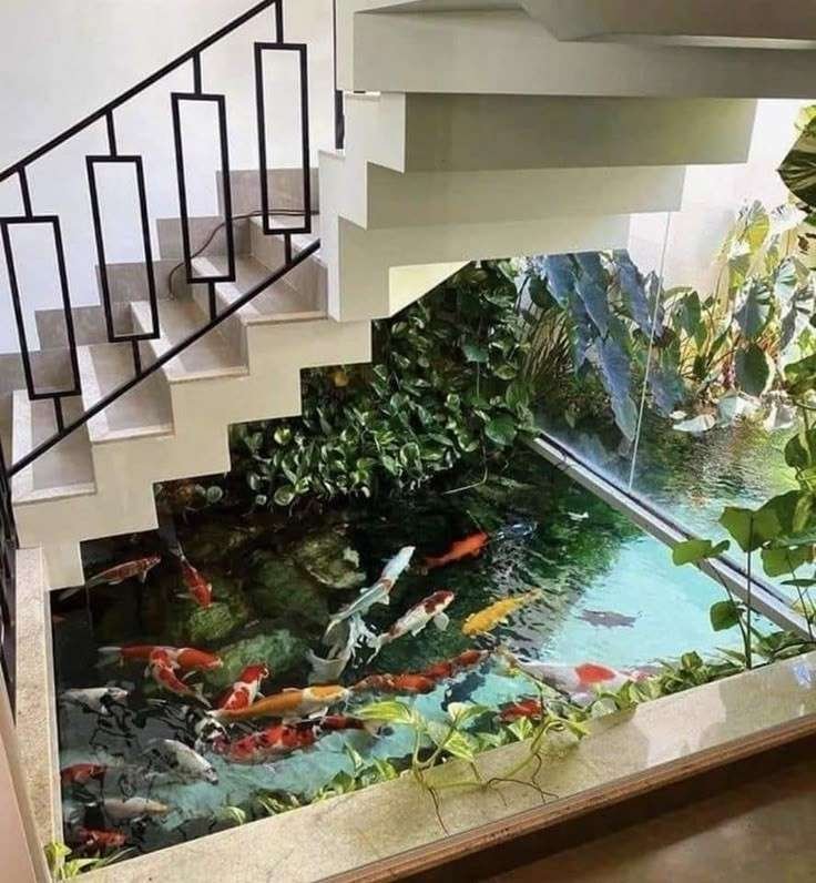 Kolam Ikan Koi Indoor